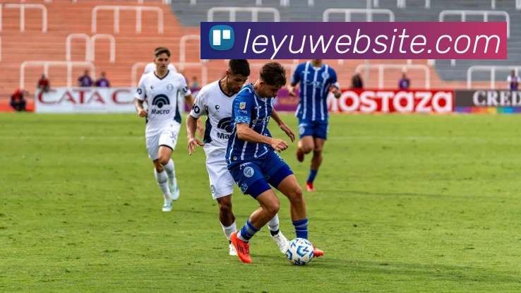 乐鱼体育发展历程