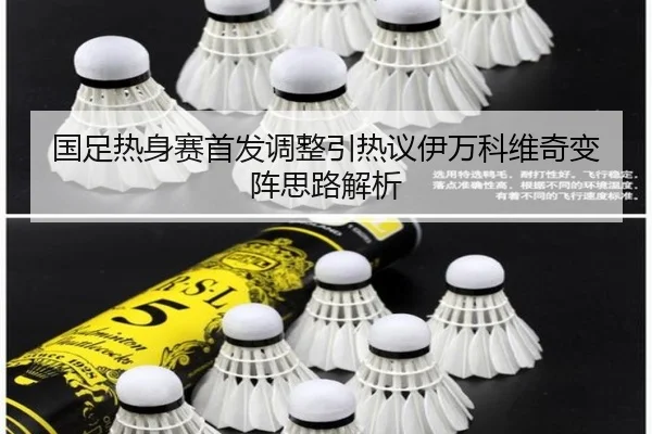 国足热身赛首发调整引热议伊万科维奇变阵思路解析（leyu.com）